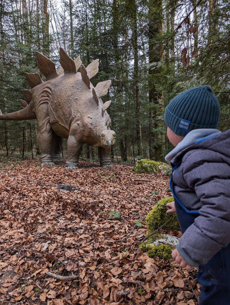 Préhisto-Parc & Tropfsteinhöhlen Réclère mit Wohnmobil | Jura Ausflug