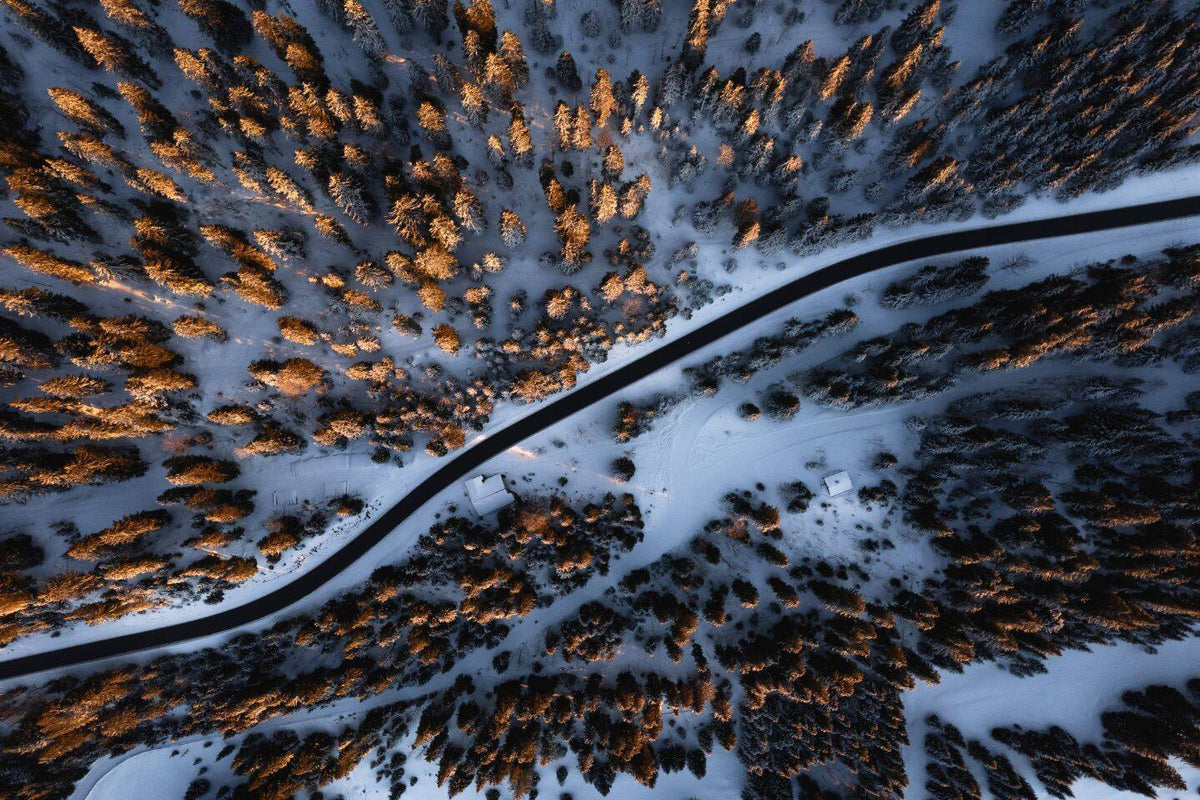 Winterausflug zum Col du Marchairuz: Schlitteln, Langlauf & Kostenloser Stellplatz
